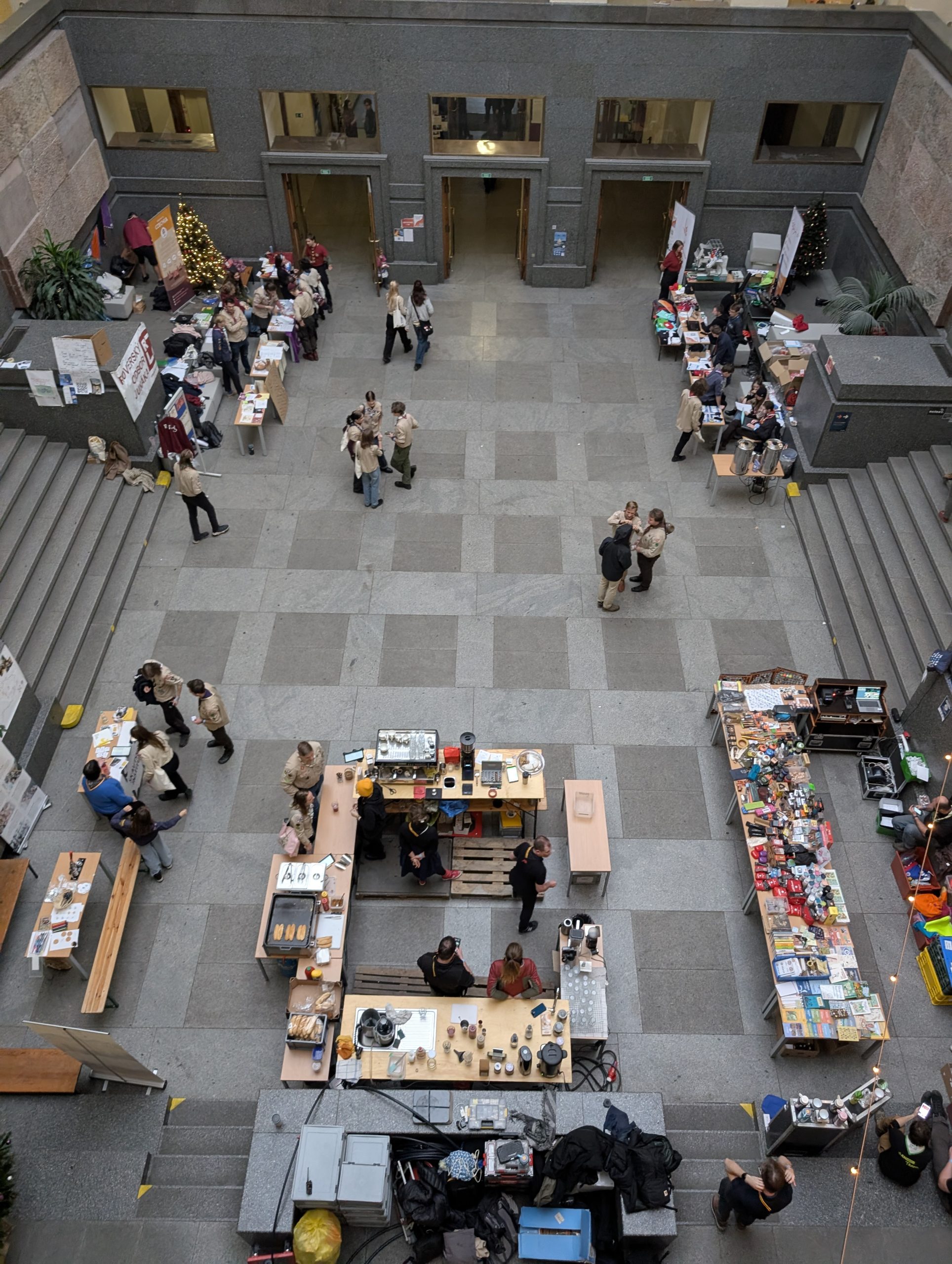Grafika Miquik 23-24